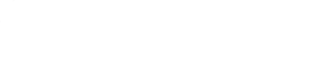 VEGO